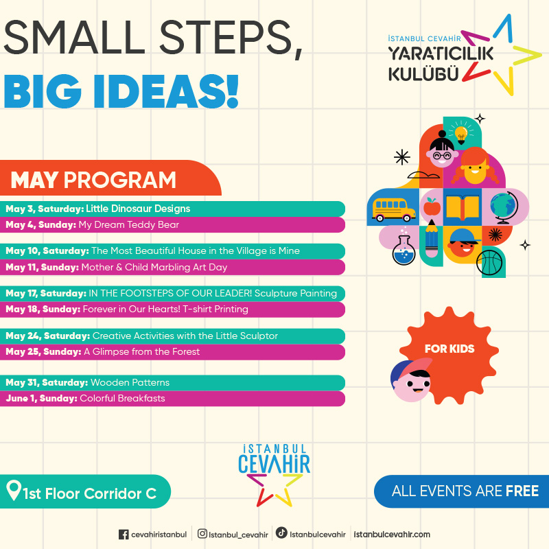 Small Steps, Big Ideas!