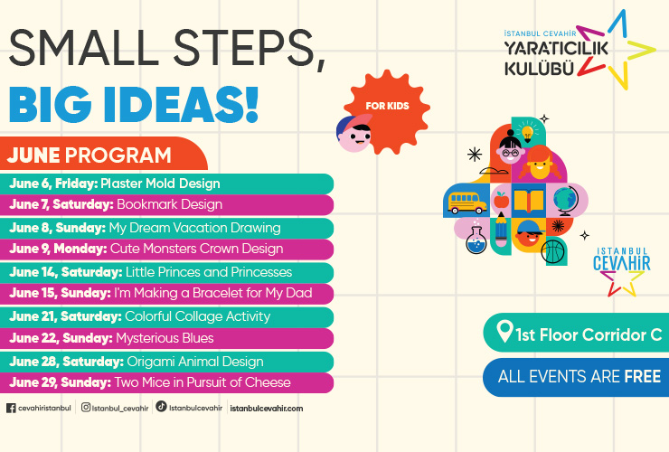Small Steps, Big Ideas!