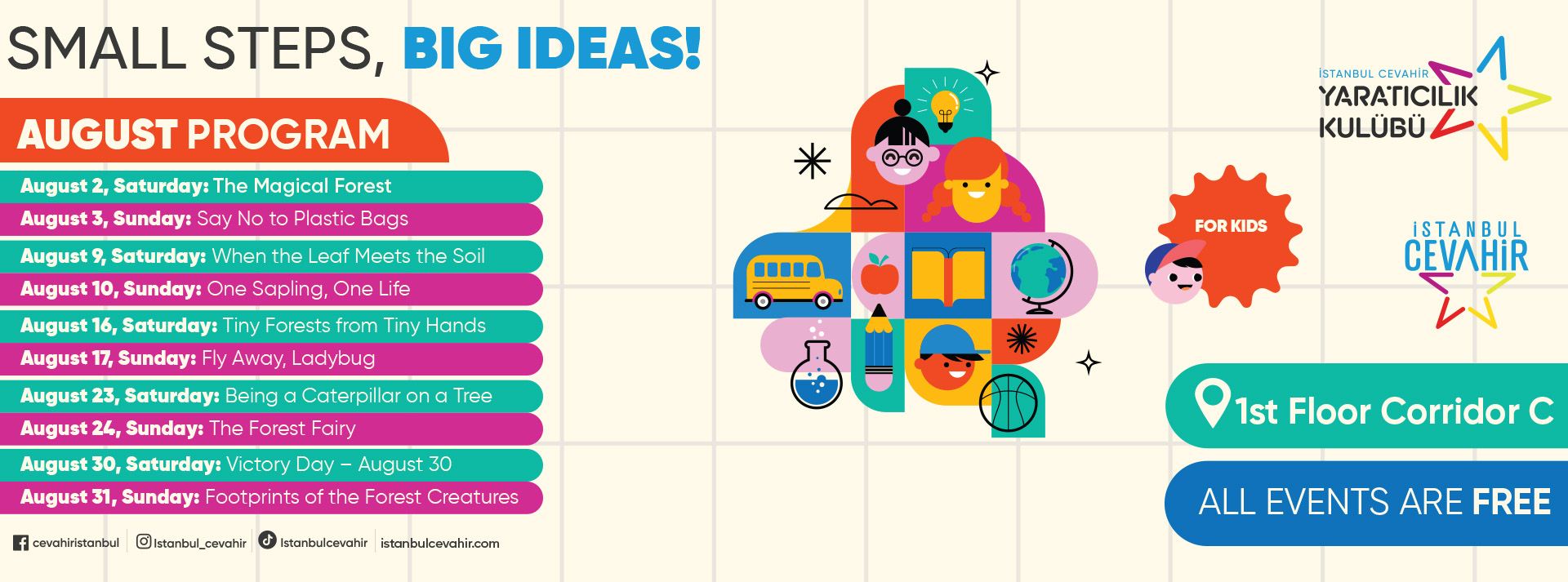 Small Steps, Big Ideas!