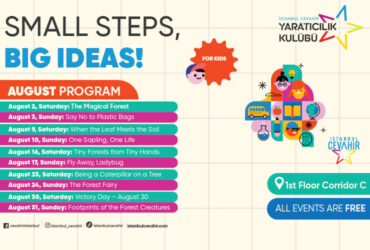 Small Steps, Big Ideas!