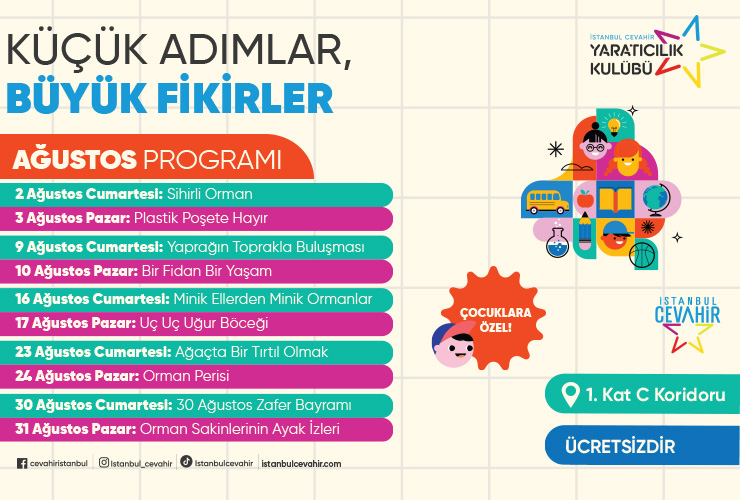 Küçük Adımlar, Büyük Fikirler!