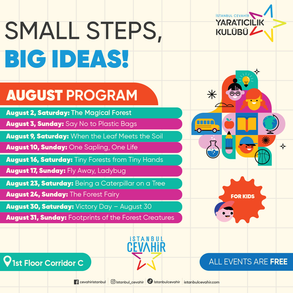 Small Steps, Big Ideas!