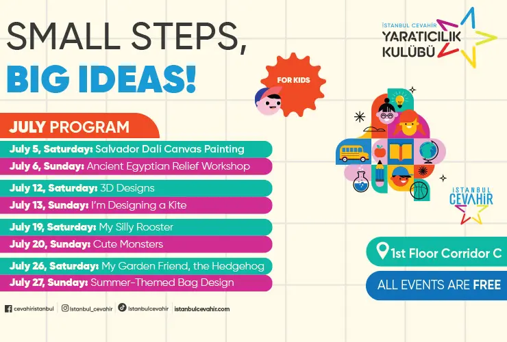 Small Steps, Big Ideas!