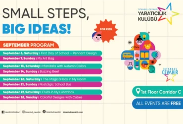 Small Steps, Big Ideas!
