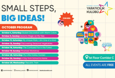 Small Steps, Big Ideas!