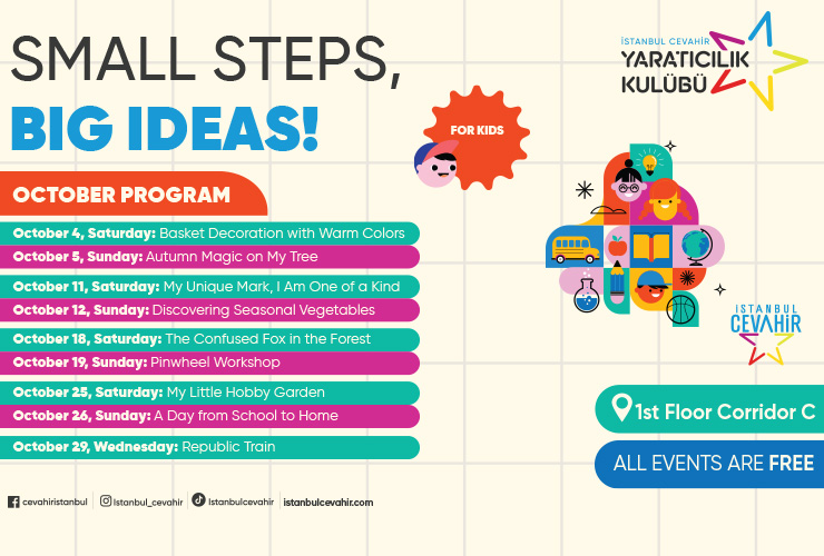 Small Steps, Big Ideas!