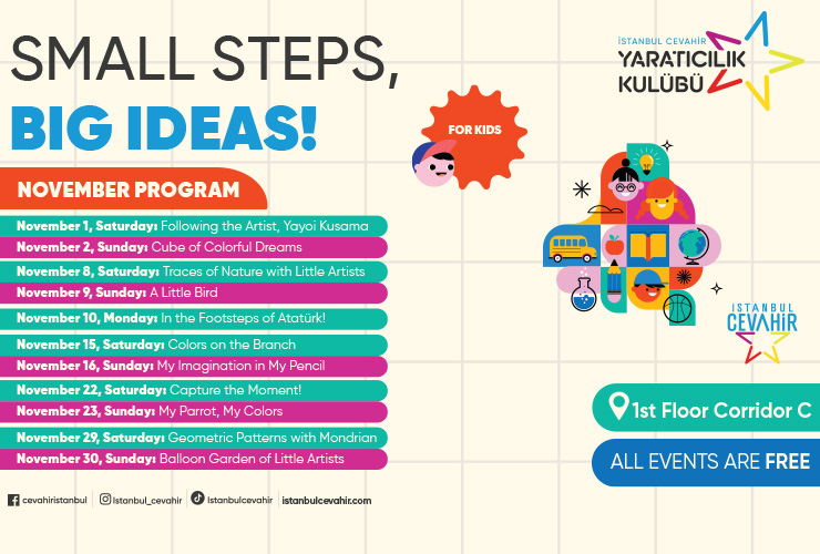 Small Steps, Big Ideas!